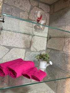 a glass table with two pink mittens and a potted plant at CASA DA QUELHA in Soajo