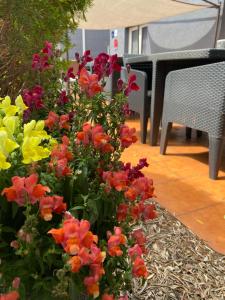 Κήπος έξω από το Contact Hotel LE SUD Montpellier Aéroport Parc Expo Arena