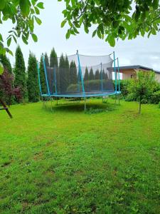 a blue trampoline in a grassy field at Apartament Kornelia in Gołdap