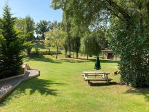 park ze stołem piknikowym i parasolem w obiekcie Gîte Le Buron w mieście Chazelles