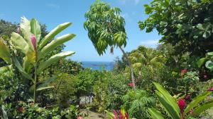a view of a garden with trees and flowers at Vacances Bien Etre Guadeloupe in Bouillante