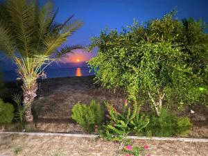 a garden with a view of the ocean at night at Paradise Karpaz Hotel & Restaurant in Rizokarpaso