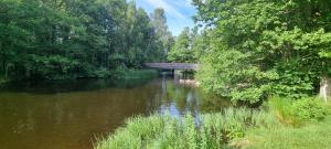 un puente sobre un río con árboles y agua en Villa Elme, en Växjö