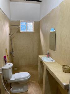 a bathroom with a toilet and a sink at Malaika House Paje in Paje