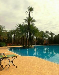 uma piscina com um banco e palmeiras em Appartement Palmeraie Marrakech em Marrakech