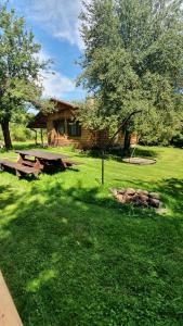 uma mesa de piquenique na relva em frente a uma cabana em Bieszczady Domki w Dolinie Sanu em Lutowiska