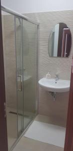 W łazience znajduje się szklana kabina prysznicowa i umywalka. w obiekcie Casa Sura Sasilor w Sybinie