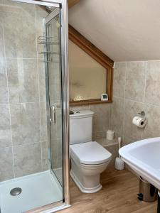 a bathroom with a shower and a toilet and a sink at Baddegai Holiday Cottage in Brecon +36 photos