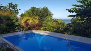 a swimming pool in a garden with a view of the ocean at Vacances Bien Etre Guadeloupe in Bouillante