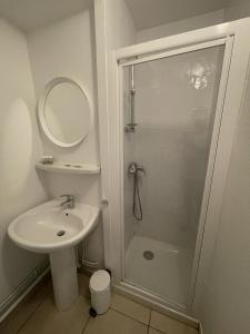 un bagno bianco con doccia e lavandino di Petit Lac a Duingt