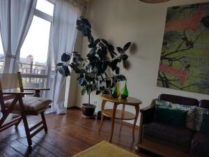 a living room with a couch and a plant at Art Studio Turnovo in Veliko Tŭrnovo