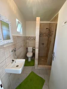ein Bad mit einem Waschbecken, einem WC und einer Dusche in der Unterkunft Apartmán BENÍŠKOVEC, Suchdol nad Lužnicí in Suchdol nad Lužnicí