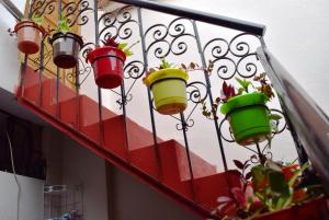 a group of colorful flower pots hanging on a wall at Carlos Guest House 1 Cusco in Cusco