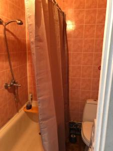 y baño con cortina de ducha y aseo. en Maleva apartaments, en Kohtla-Järve