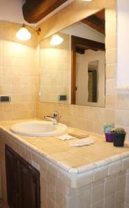 Appartamento toscano Pelago - Firenze في Pelago: حمام مع حوض ومرآة