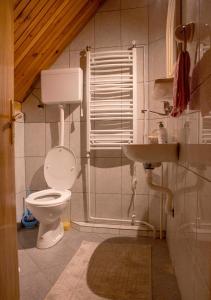een badkamer met een toilet en een wastafel bij Moticki Gaj Cottage in Žabljak