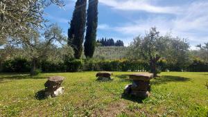 A garden outside Villa del Biondo