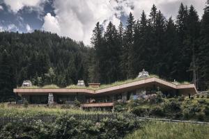 una casa con techo de césped en la cima de una colina en Ruhiges Waldchalet en Racines