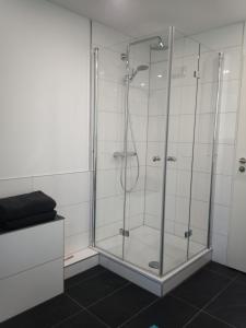 y baño con ducha y puerta de cristal. en Ferienwohnung Waldblick - a88768 en Hattingen