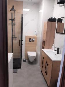 een badkamer met een toilet, een wastafel en een douche bij APARTAMENT KOSZARY na NOVO in Mrągowo