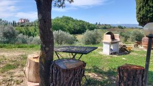 A garden outside Villa del Biondo