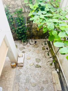 un petit jardin avec des rochers et un arbre dans l'établissement Villa Kata, à Preko