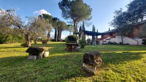 A garden outside Villa del Biondo