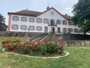 a large white house with red flowers in front of it at Ferienwohnung Haffner in Kandern