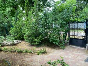 a gate to a garden with trees and bushes at Nyugalom Szigete in Balatonszemes