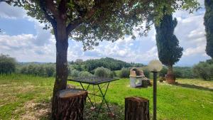 A garden outside Villa del Biondo