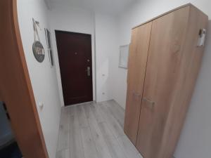 a hallway with a wooden cabinet and a door at Studio Elvetia in Deva
