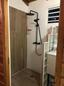 a shower in a bathroom with a sink and a shower at Vacances Bien Etre Guadeloupe in Bouillante