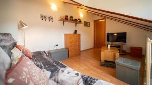 Televízia a/alebo spoločenská miestnosť v ubytovaní Specious Apartment Manitu in forest countryside