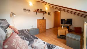 a living room with a couch and a television at Specious Apartment Manitu in forest countryside in Fužine