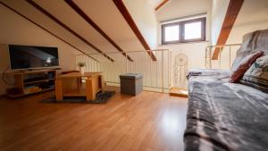 Televízia a/alebo spoločenská miestnosť v ubytovaní Specious Apartment Manitu in forest countryside