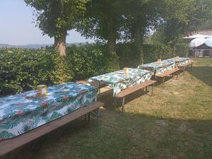 Vonkajšia záhrada v ubytovaní La Terrazza