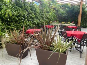 an outdoor patio with tables and chairs and plants at Agritur Girasole in Arco