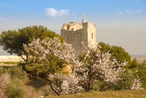 a castle sitting on top of a hill with trees at La maison du paradis in Bellegarde