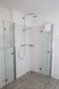 a bathroom with a shower and a glass shower stall at Landhaus Sterdebüll in Bordelum
