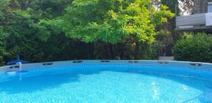 a large blue swimming pool with trees in the background at Villa Réka in Tihany