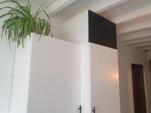 una planta sobre armarios blancos en una habitación en Studio tout confort centre ville - Balcon, Clim, TV, Wifi, en Mazan