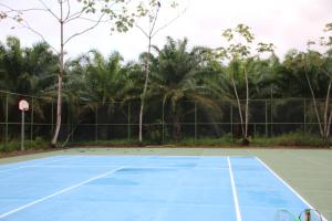 a tennis court with two tennis rackets on it at Tropical Bliss Pool Wi-Fi BBQ Near Quepos Manuel Antonio in Quepos
