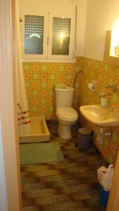 uma casa de banho com um WC e um lavatório em Grapes and Roses em Igoumenitsa