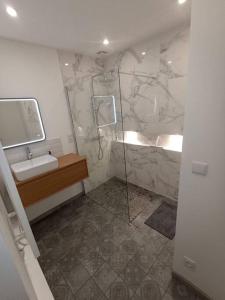 a bathroom with a sink and a shower at Appartement proche Gare Part-Dieu in Lyon