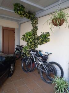 Jazda na bicykli v okolí ubytovania Albergue Agarimo