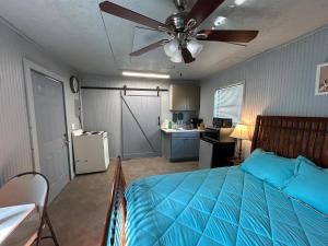 1 dormitorio con 1 cama azul y ventilador de techo en Seagull Seaclusion en Sargent