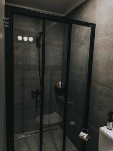 een douche in een badkamer met een glazen deur bij Camping Milk in Usmenieki