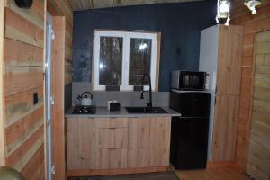 a kitchen with a sink and a black refrigerator at La cabane aux écureuils in Philippeville