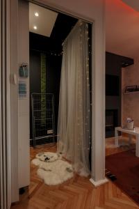 um quarto com uma janela com uma cortina branca em Eagle's Nest Short Stay em Baia Mare