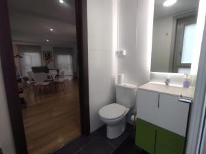 ein Badezimmer mit einer weißen Toilette und einem Waschbecken in der Unterkunft 1B. Estudio muy luminoso en el corazón del tapeo. in Ourense